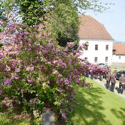FF Hengsberg und Schönberg