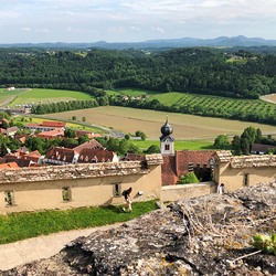 Pfingstmontag nach Klein Mariazell